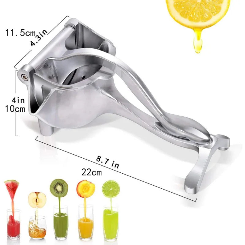 FRUIT JUICER