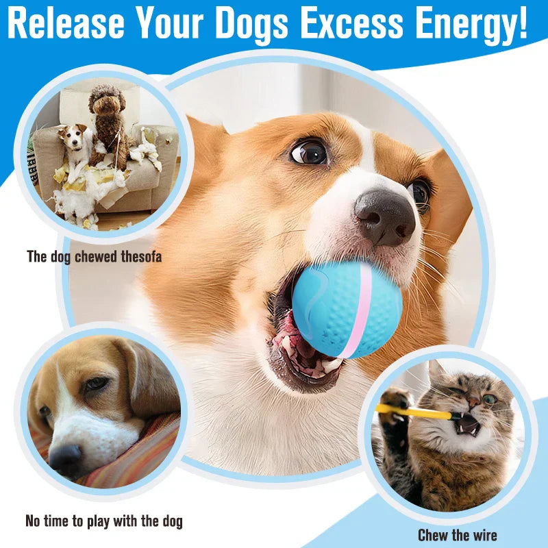 Interactive Dog Toys Dog Ball