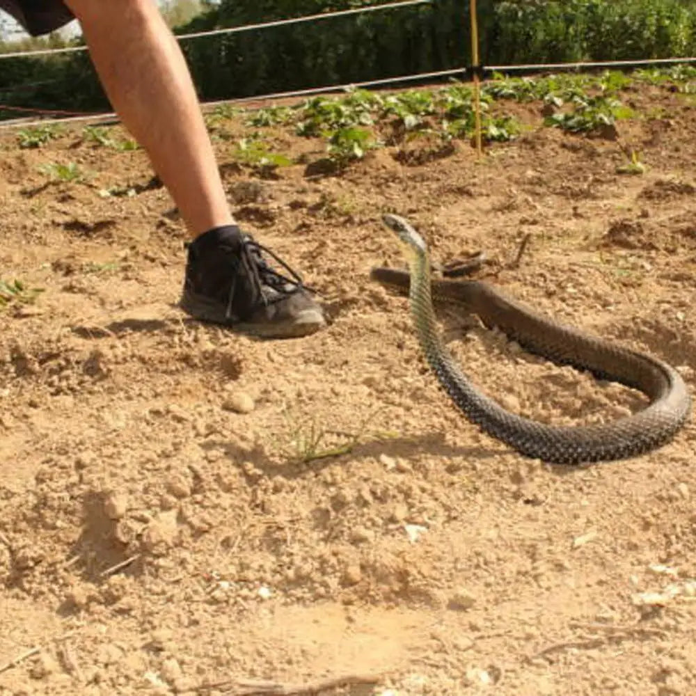 Golf Snake Prank with String and Clip