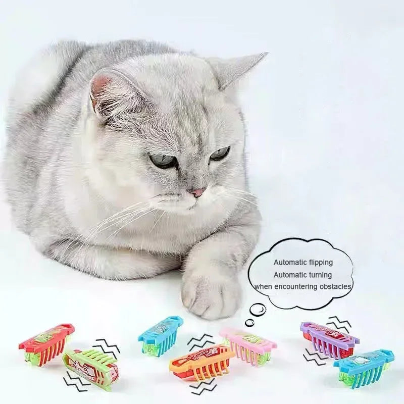 Pet Electric Bug Toy