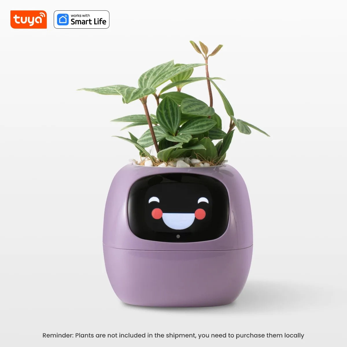 SMART PET PLANTER