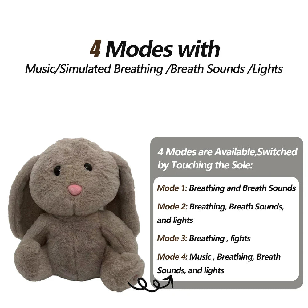 Talking Teddy Bear