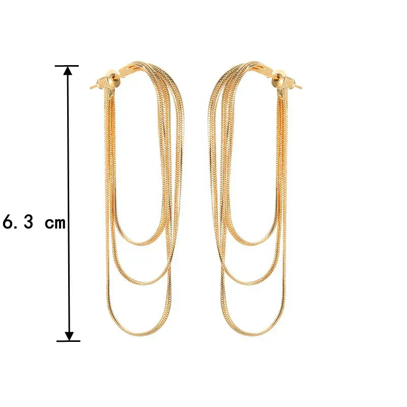 Dainty Tassel Dangle Chain Earrings