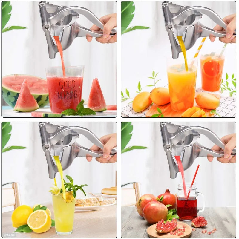 FRUIT JUICER