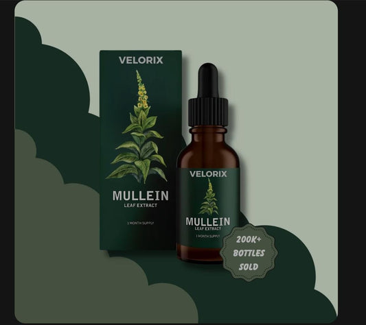 MULLEIN CHLOROPHYLL