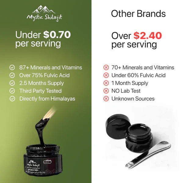 NATURAL SHILAJIT RESIN