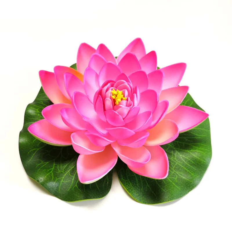 The Sacred Bonsai Bowl Lotus Flower