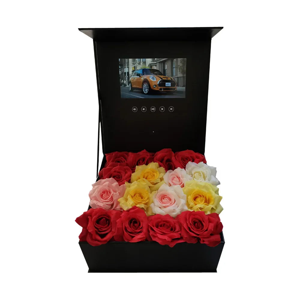 Zeus Rose Video Box