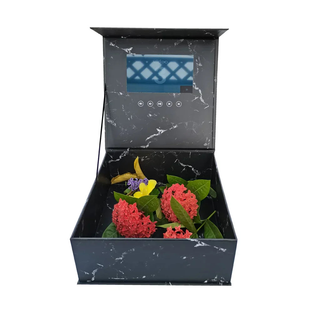 Zeus Rose Video Box