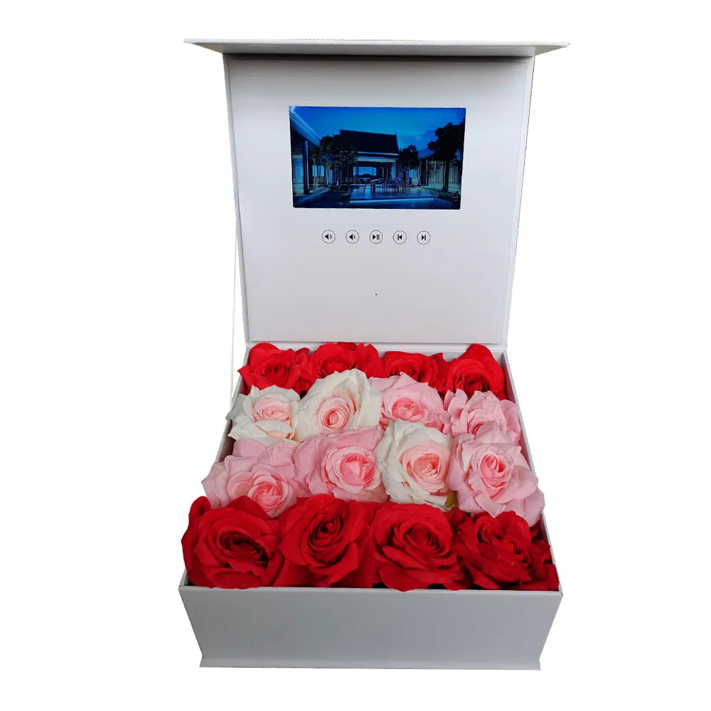 Zeus Rose Video Box