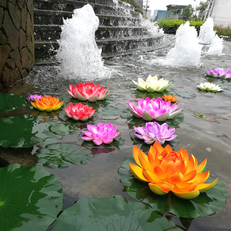 The Sacred Bonsai Bowl Lotus Flower