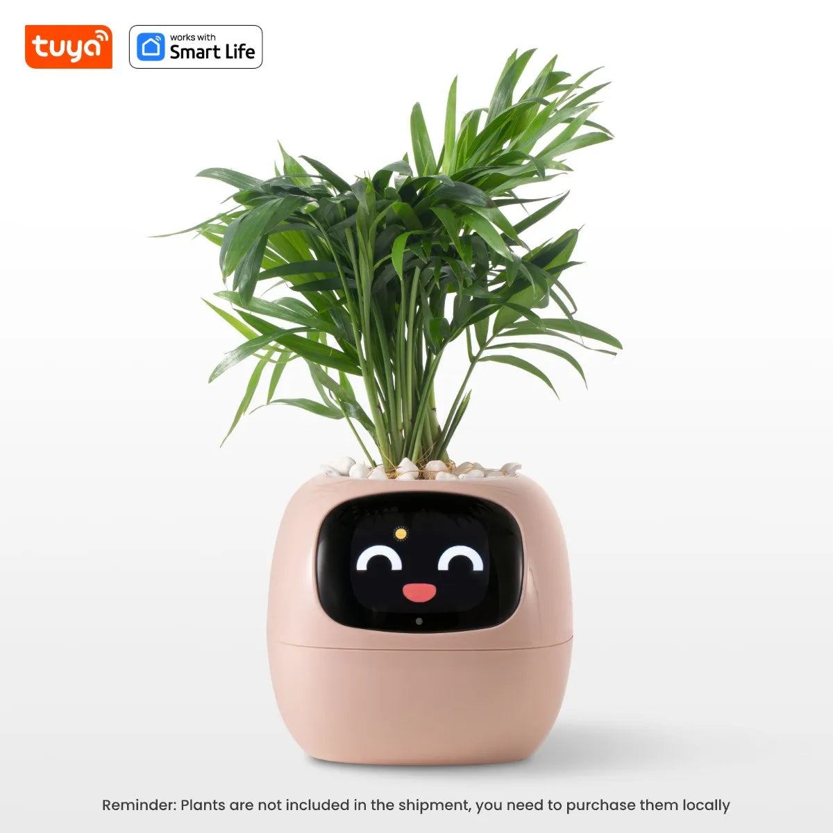 SMART PET PLANTER
