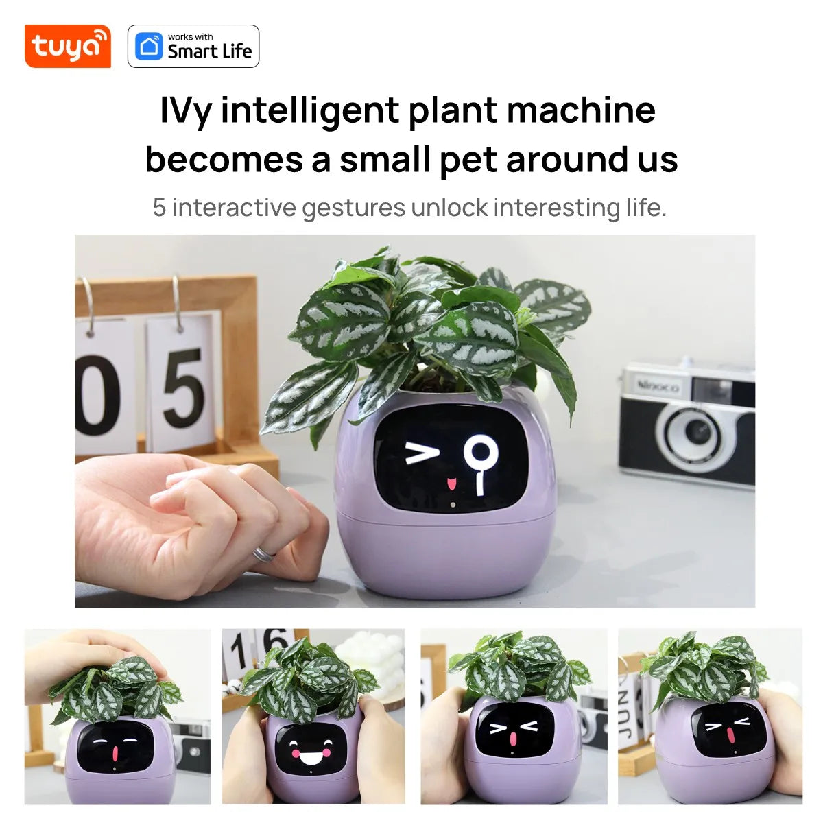 SMART PET PLANTER