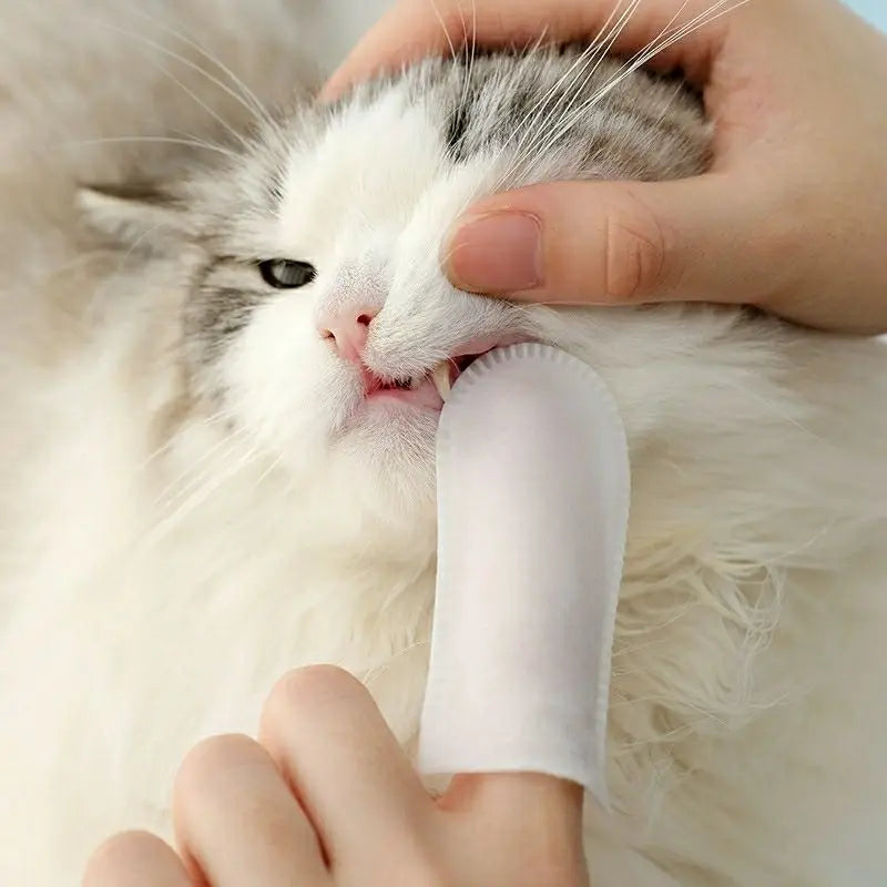 Pet Dental Cleaning finger Wipes