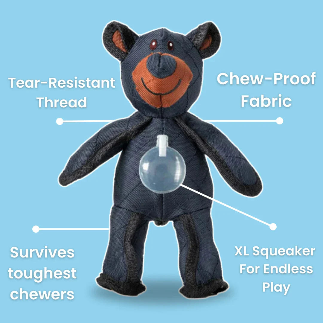 Indestructible Bear