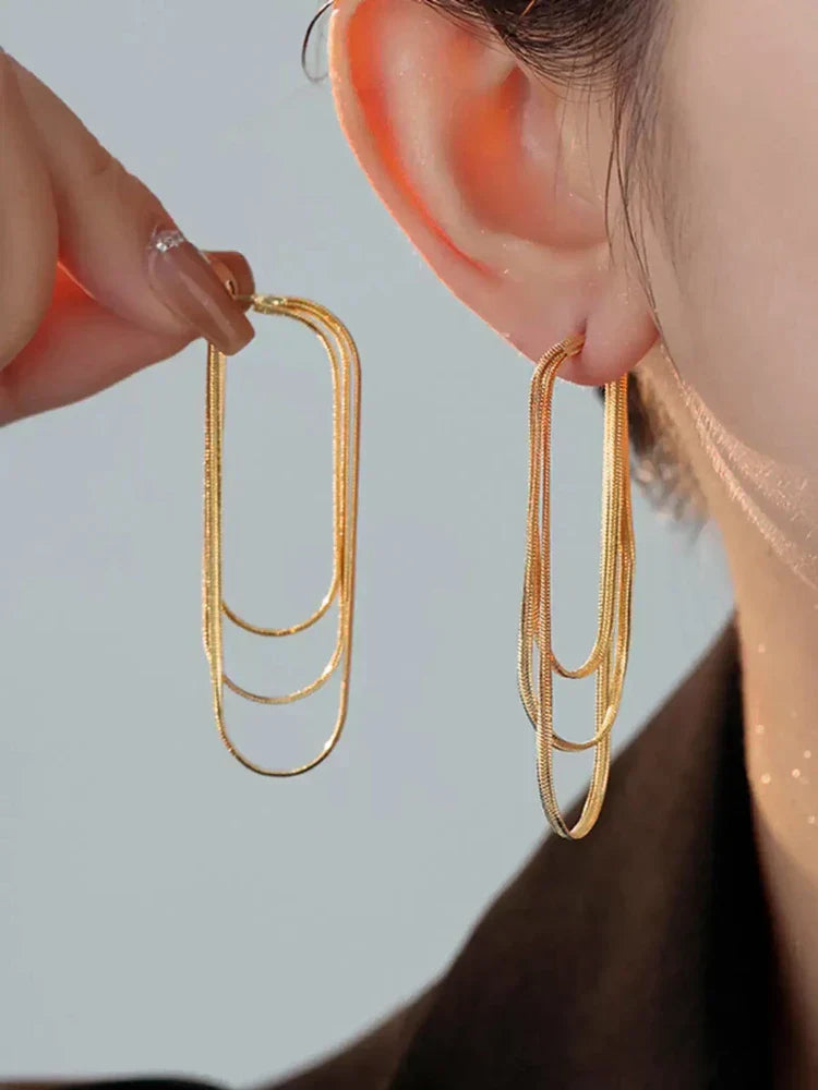 Dainty Tassel Dangle Chain Earrings