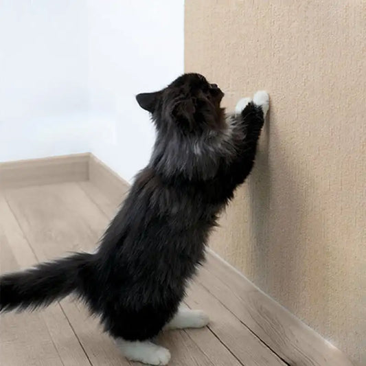 Can protect furniture - cat scratching mat