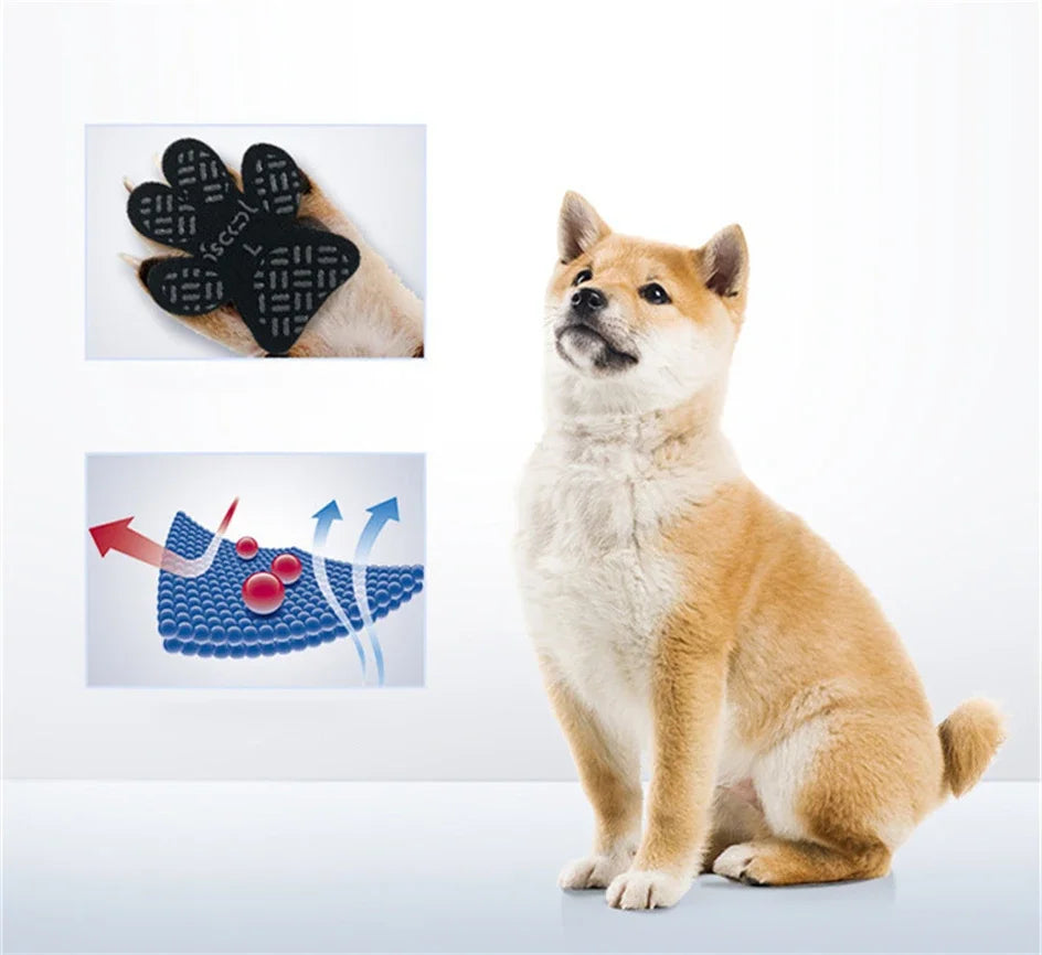 Dog Paw Protection