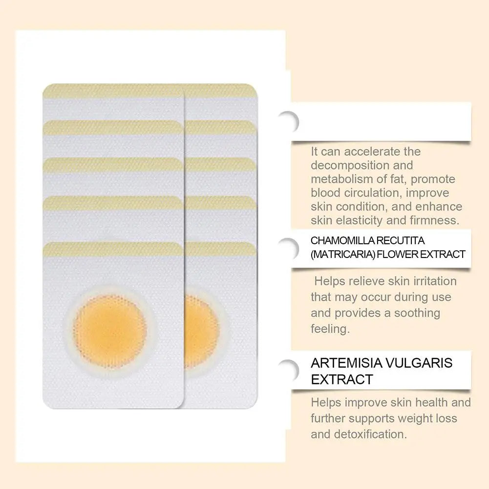 NESLEMY DETOX SLIMMING PATCH