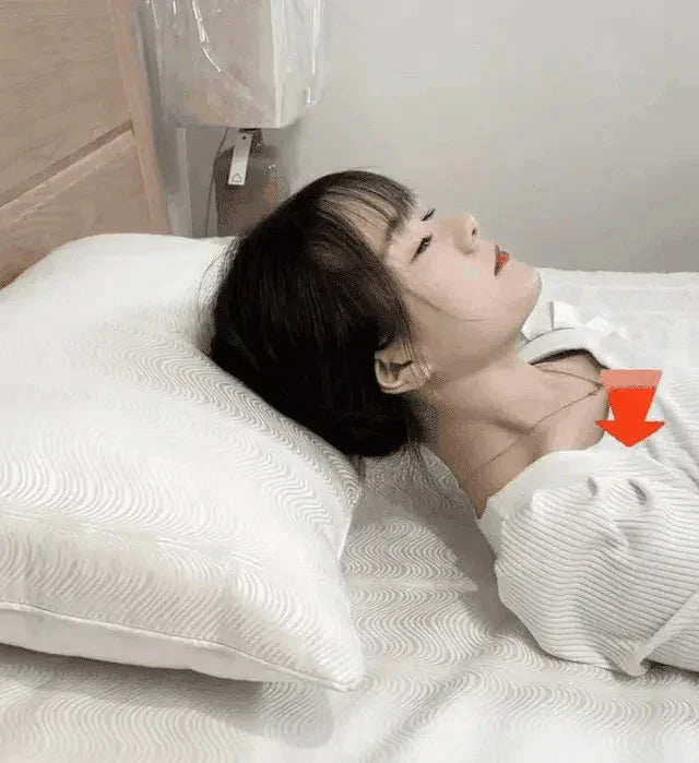 Sleep Enhancing Cervical Support Comfort Goose Down Pillow