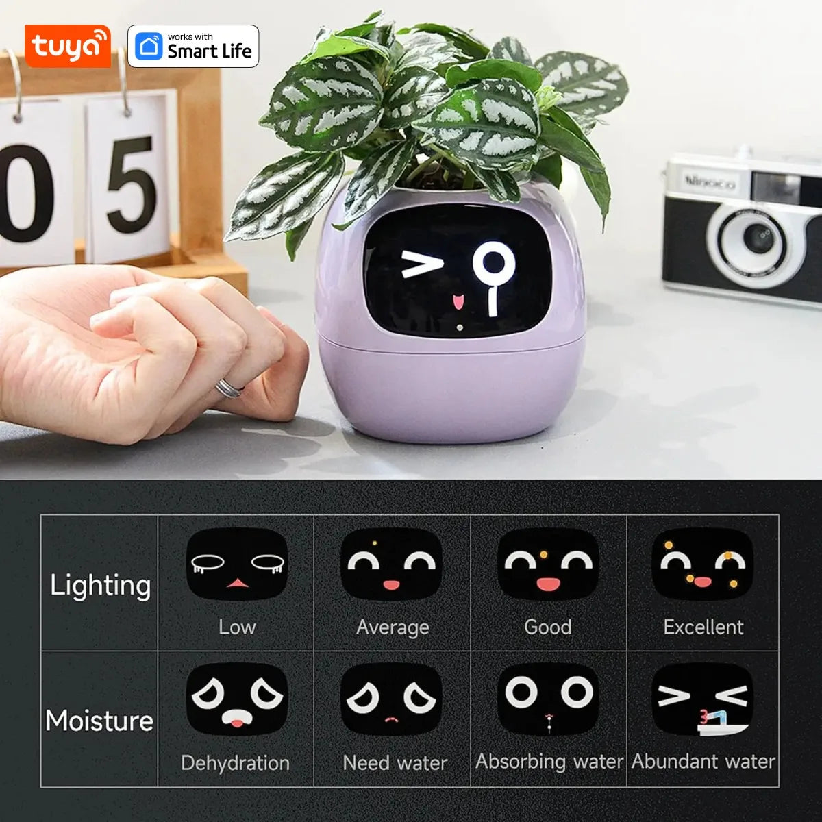 SMART PET PLANTER