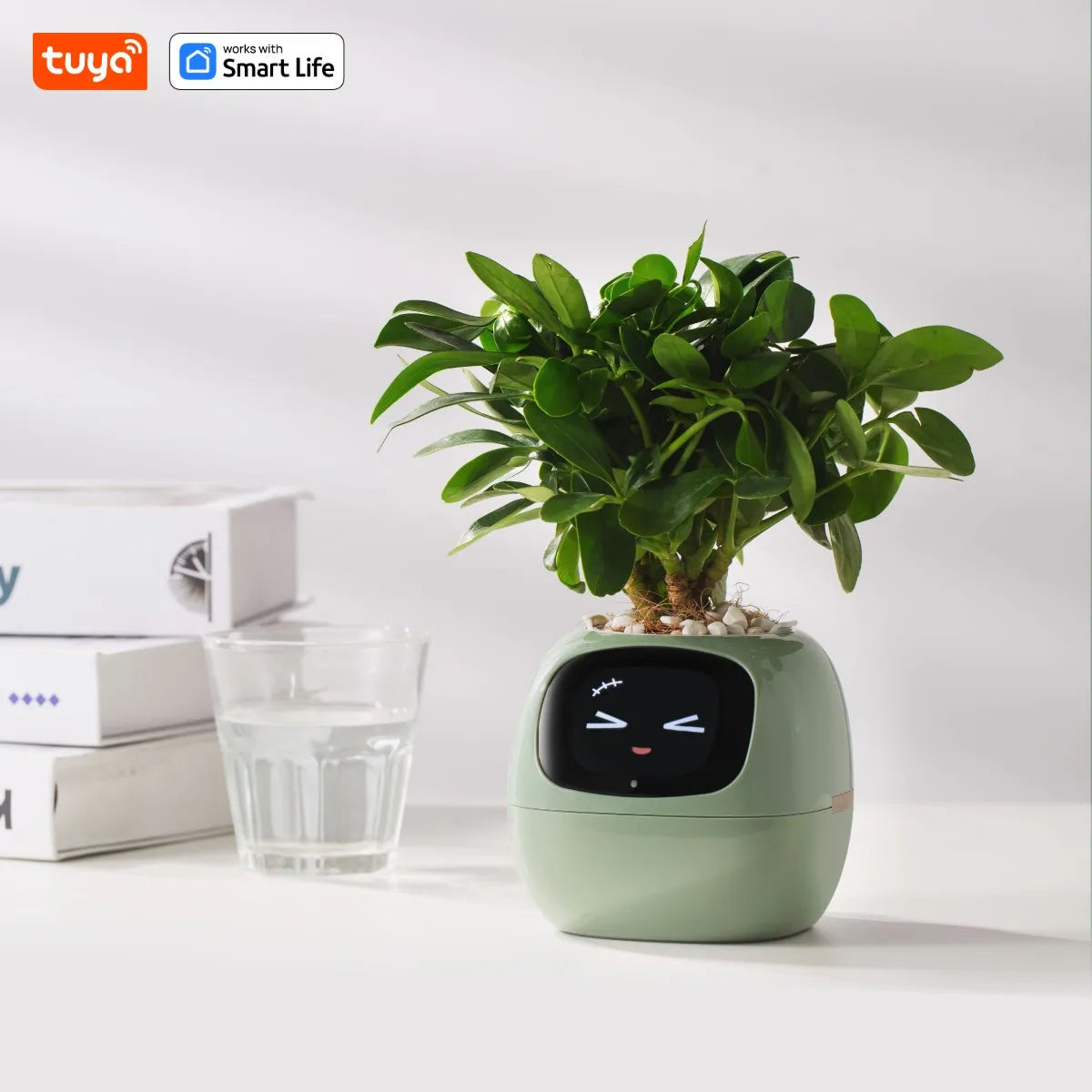 SMART PET PLANTER