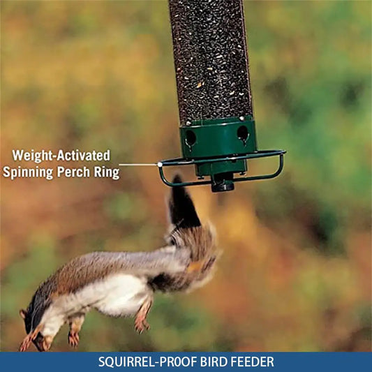 Squirrel-Proof Bird Feeder