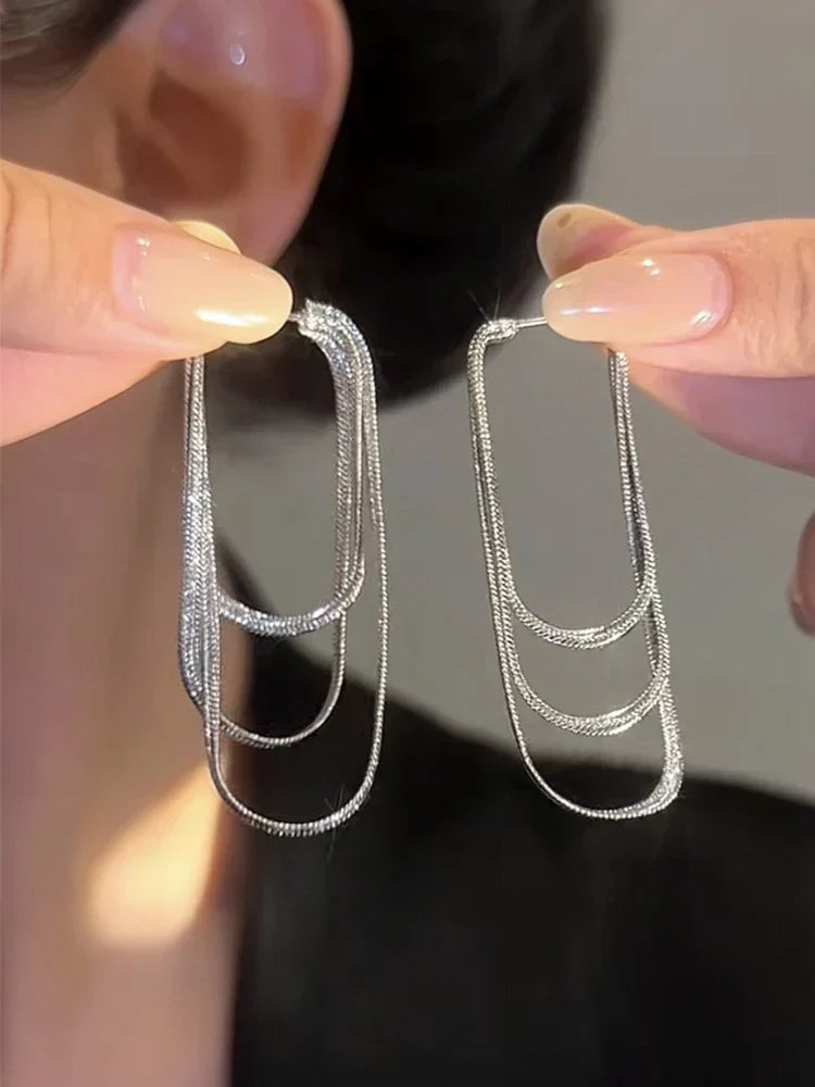 Dainty Tassel Dangle Chain Earrings
