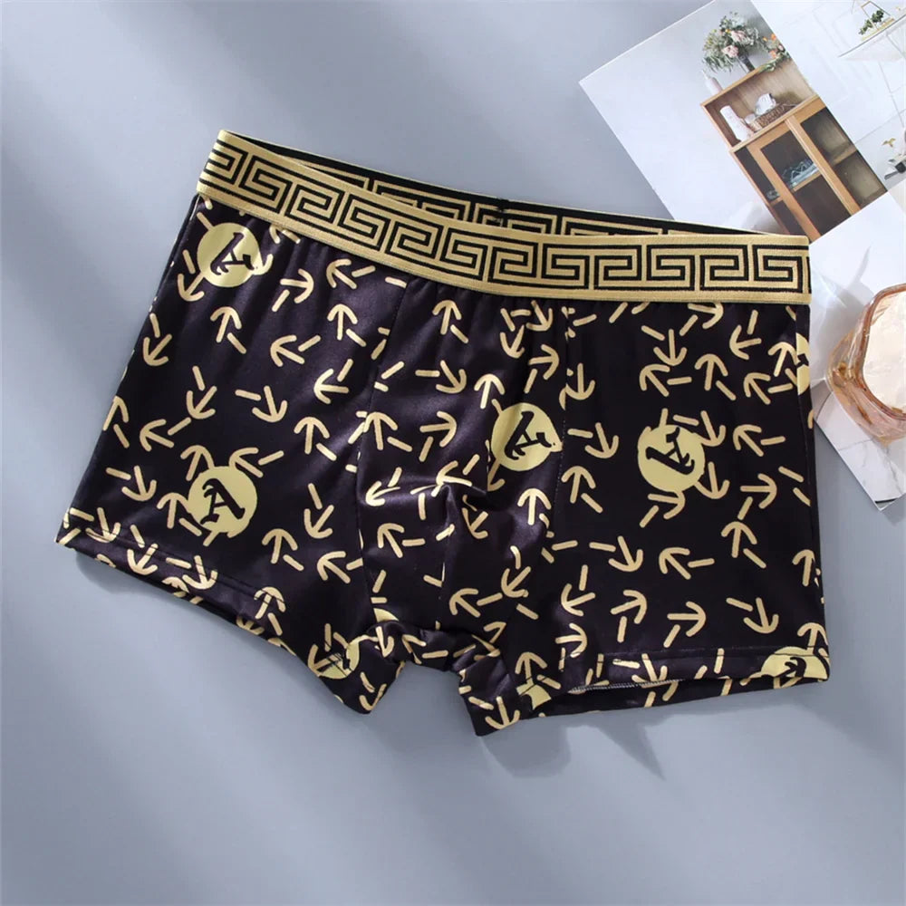 🔥Set of 5pcs  Luxury Breathable Men’s Briefs