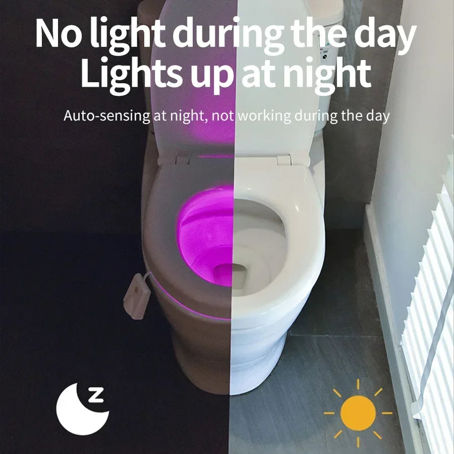 Toilet Lights Inside Toilet