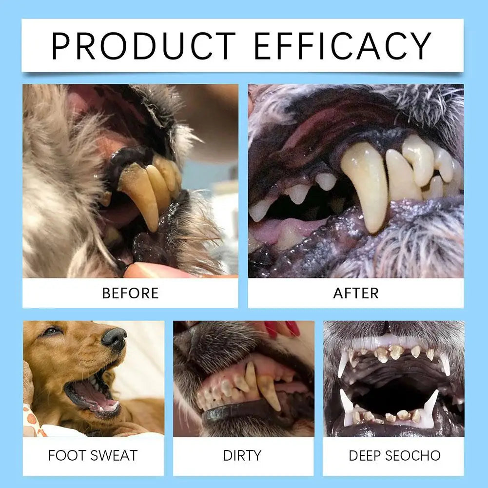 2024 New Upgraded Pet Toothbrush Pen