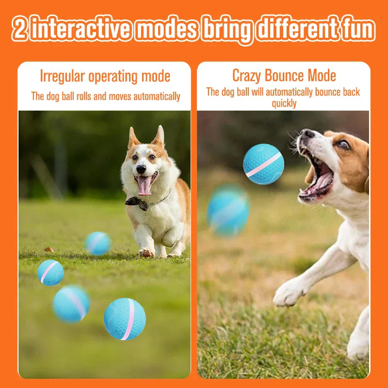 Interactive Dog Toys Dog Ball