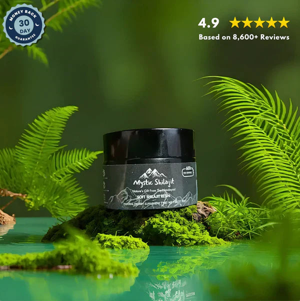 NATURAL SHILAJIT RESIN