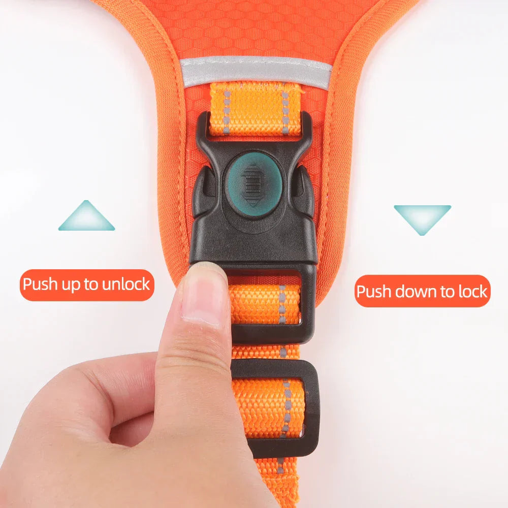 No Pull Dog Harness for Pets