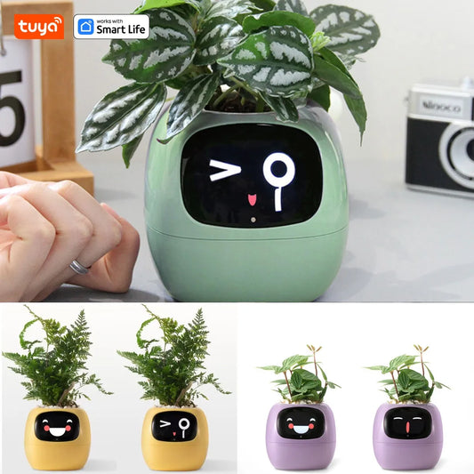SMART PET PLANTER