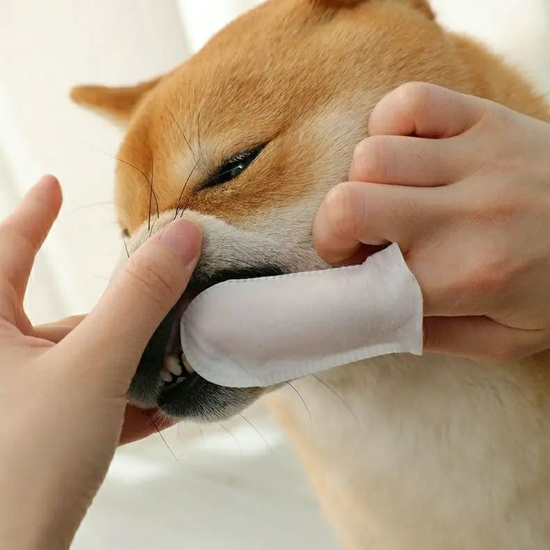 Pet Dental Cleaning finger Wipes