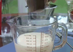 Stainless Steel Semi-Automatic Whisk