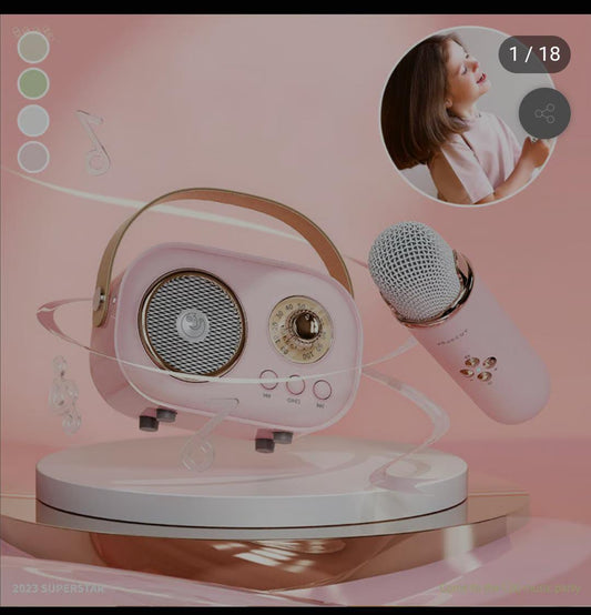 Portable Bluetooth Speaker with Wireless Microphone